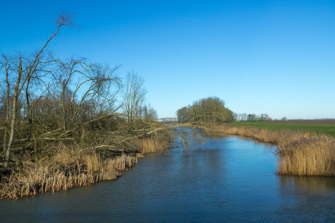 Herfststilte in de Biesbosch…